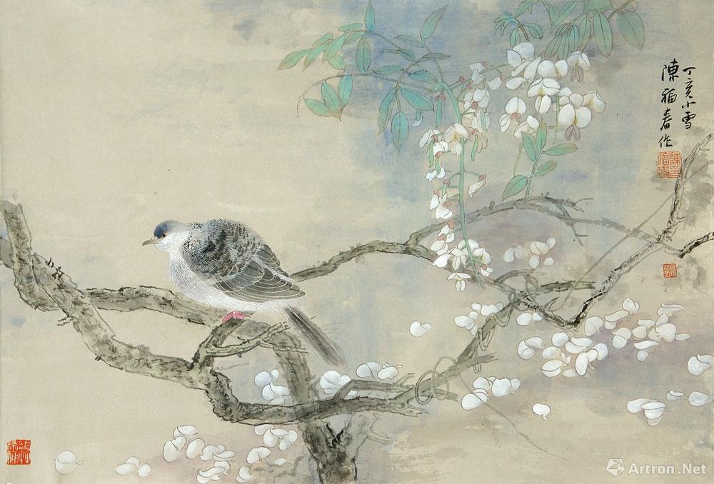 紫玉斑鸠