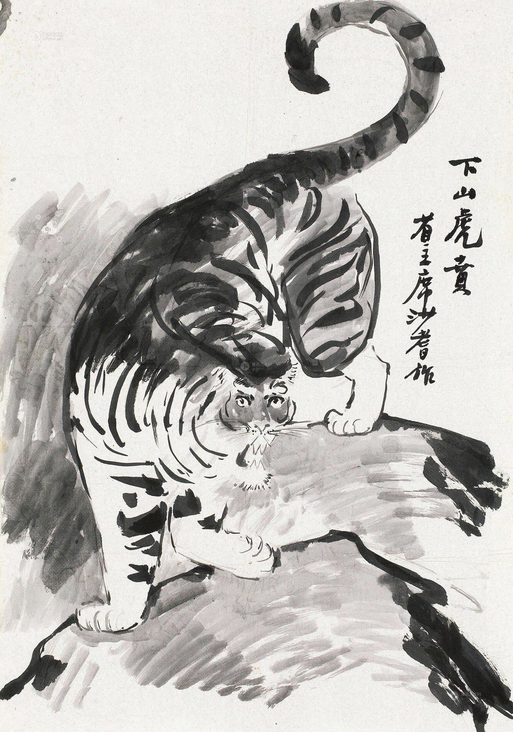 0130 老虎 镜片