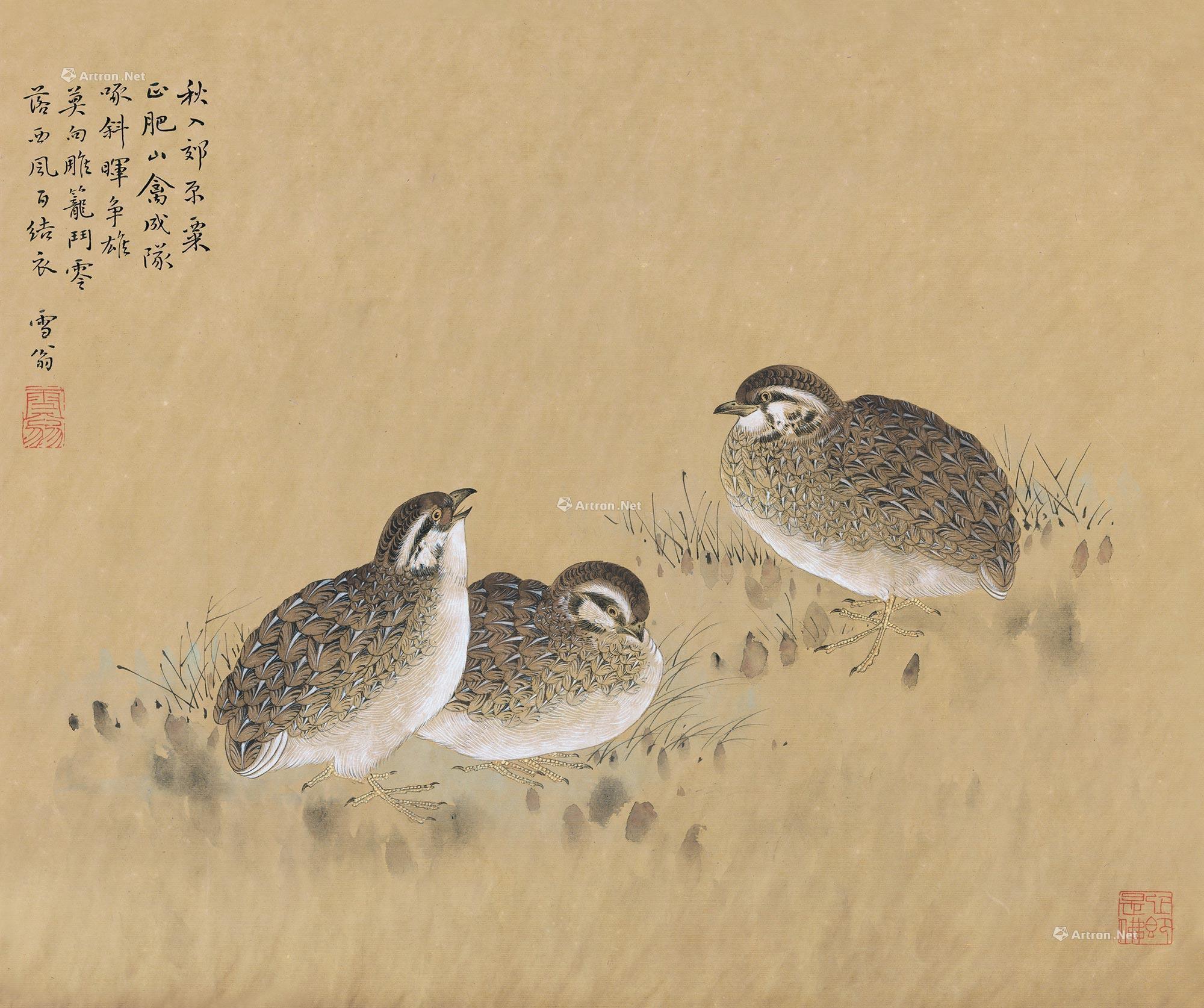 【鹌鹑 镜心 设色纸本】拍卖品_图片_价格_鉴赏_绘画_雅昌艺术品拍卖