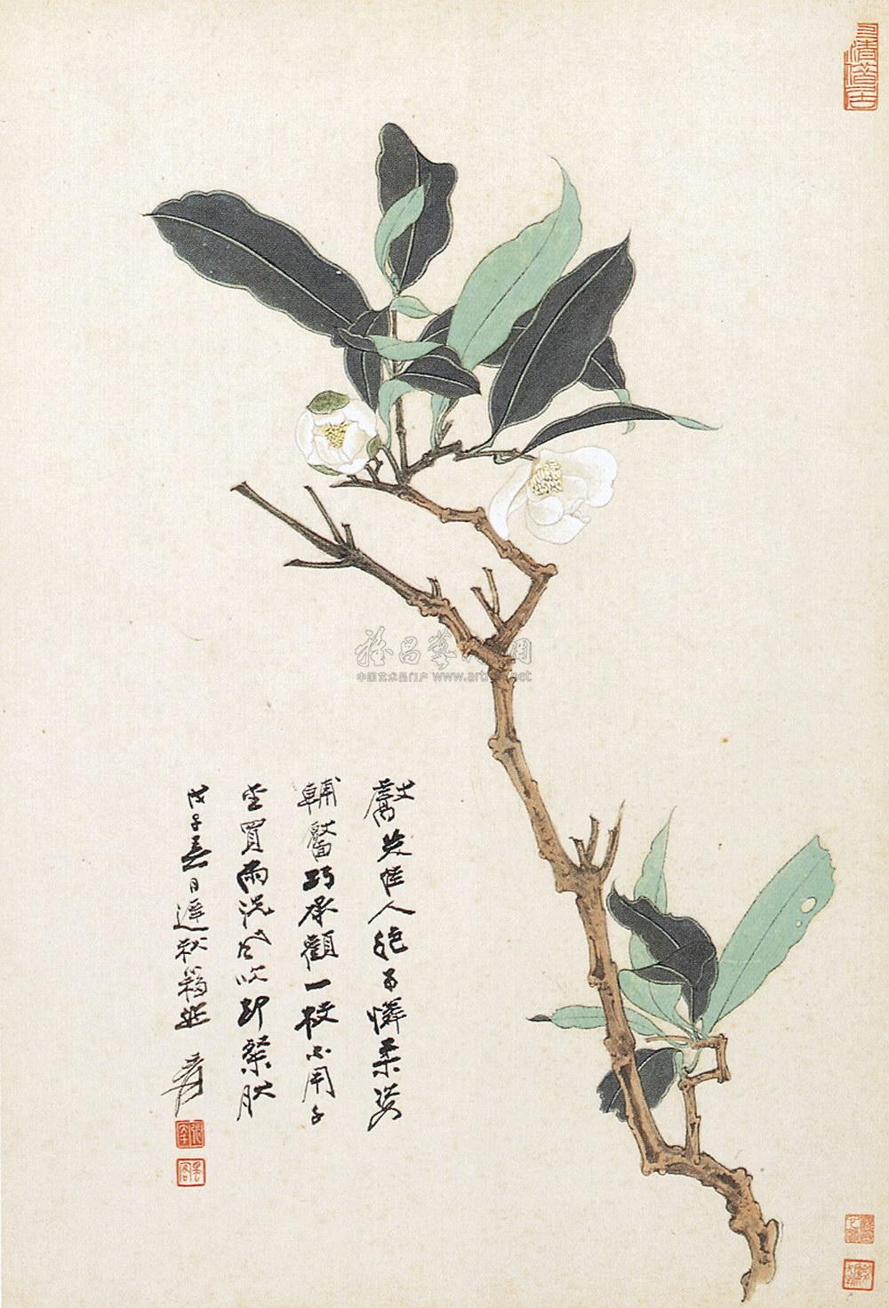 0094 近现代 夜合花 镜心