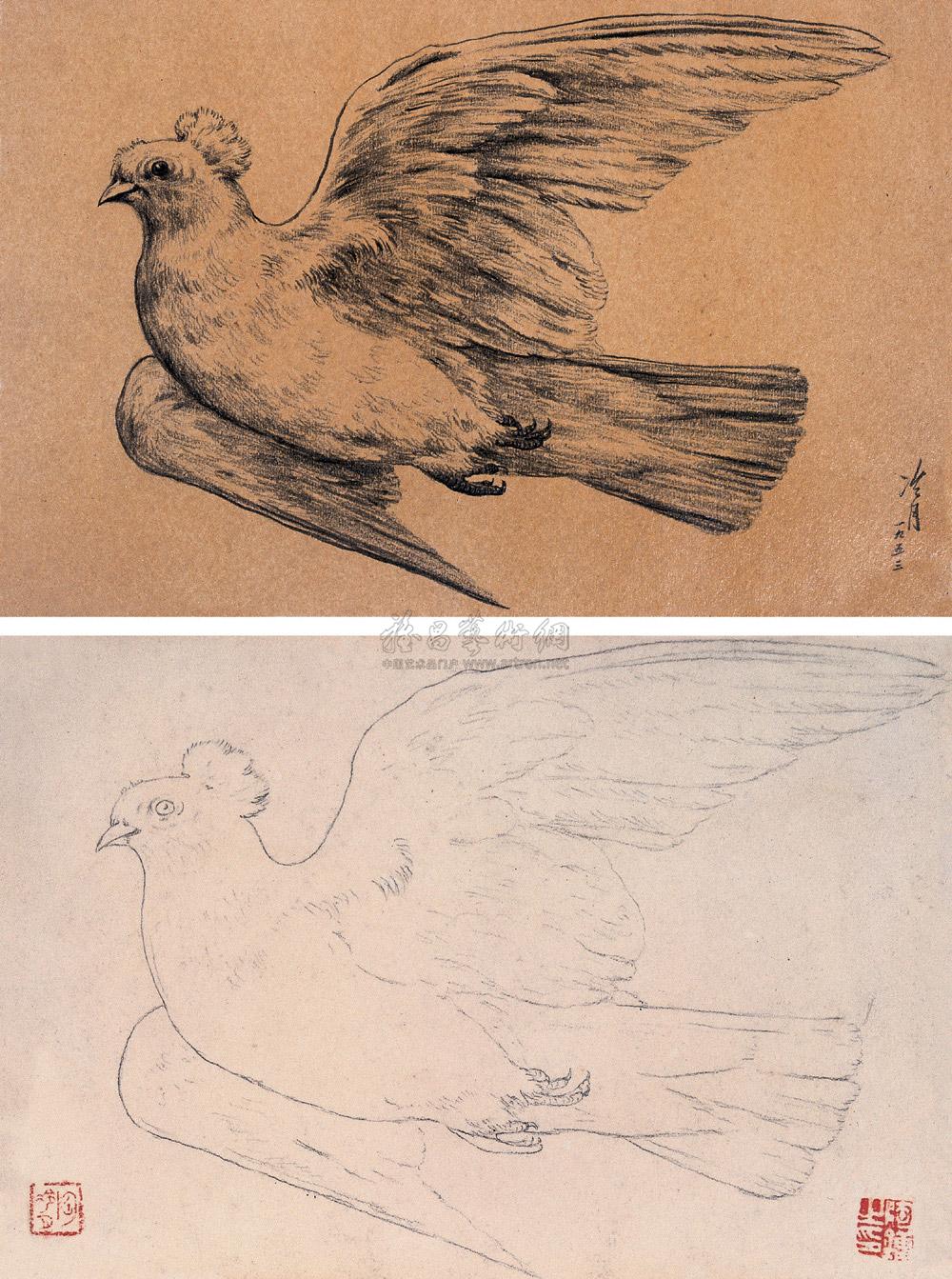 0385 和平鸽 (二件) 纸本素描