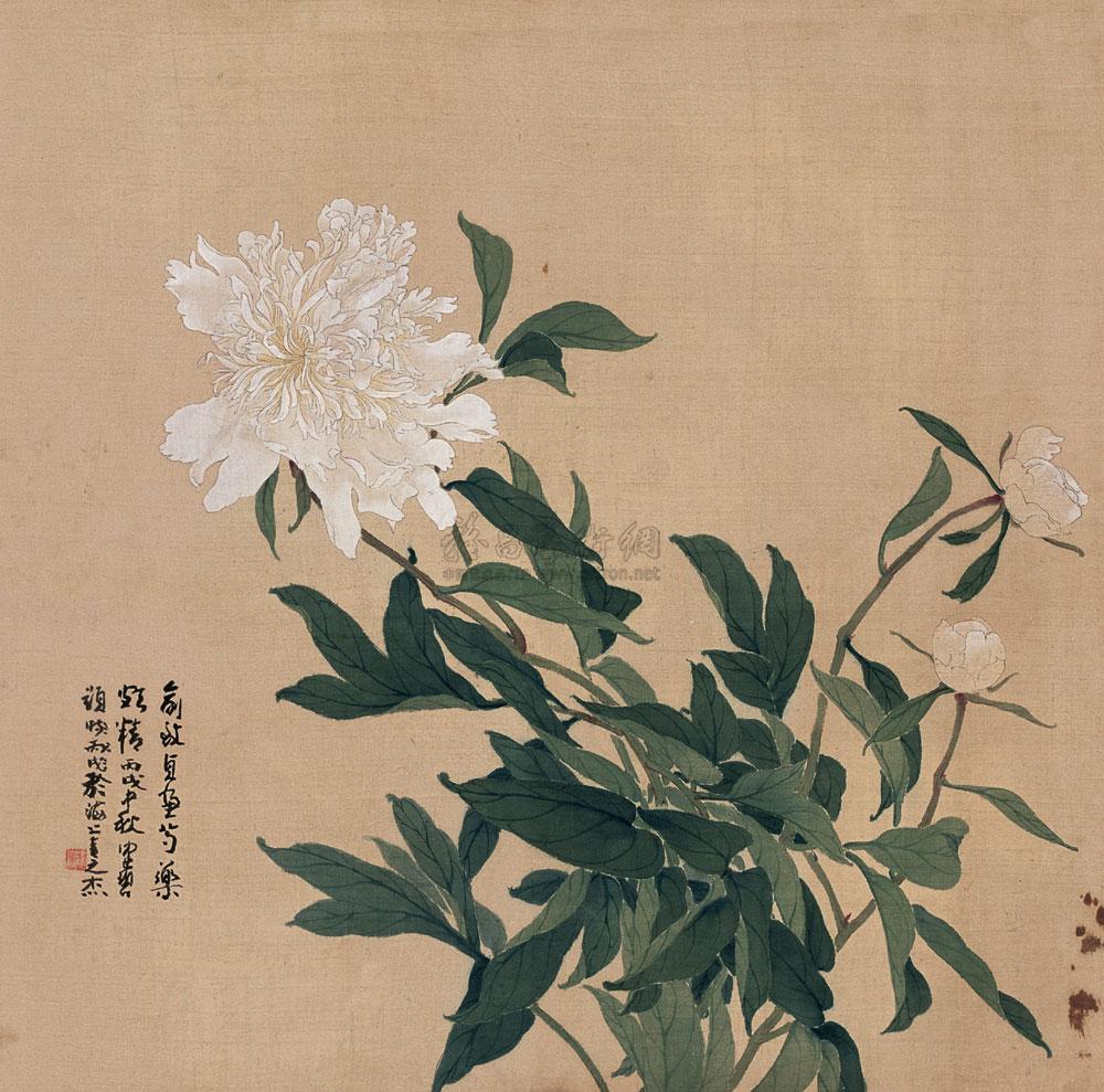 0274 芍药花 镜心 设色绢本
