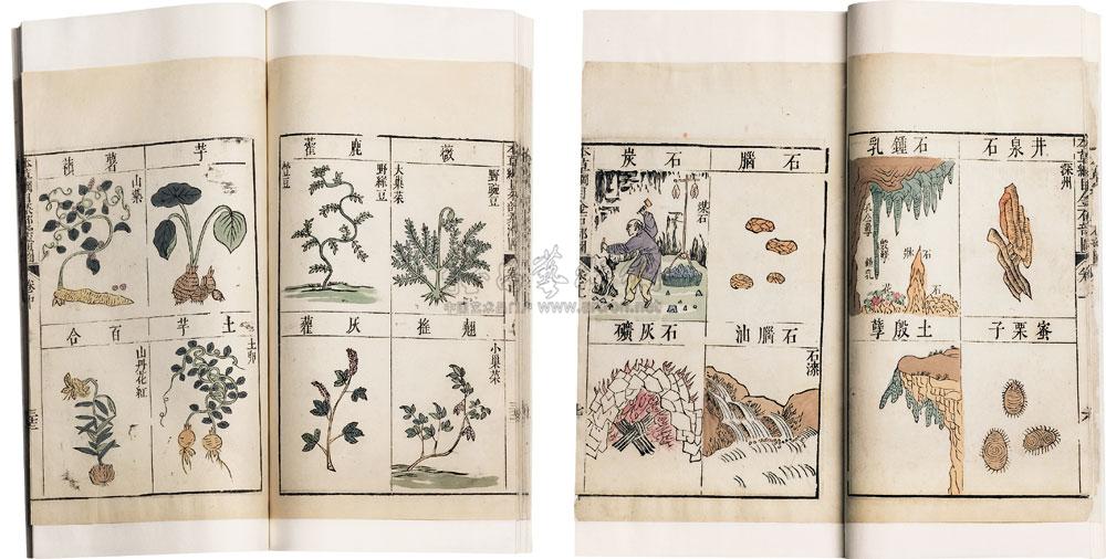 【明 李时珍 本草纲目图】拍卖品_图片_价格_鉴赏_历代刻本_雅昌艺术品拍卖网