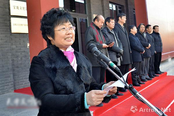 宝坻区副区长王智东致辞