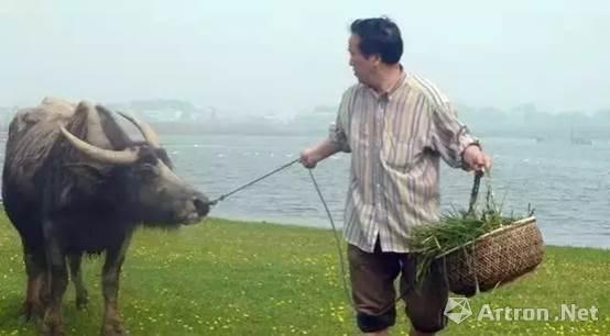 牵牛  