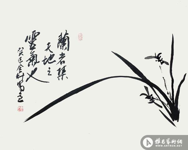 兰花图