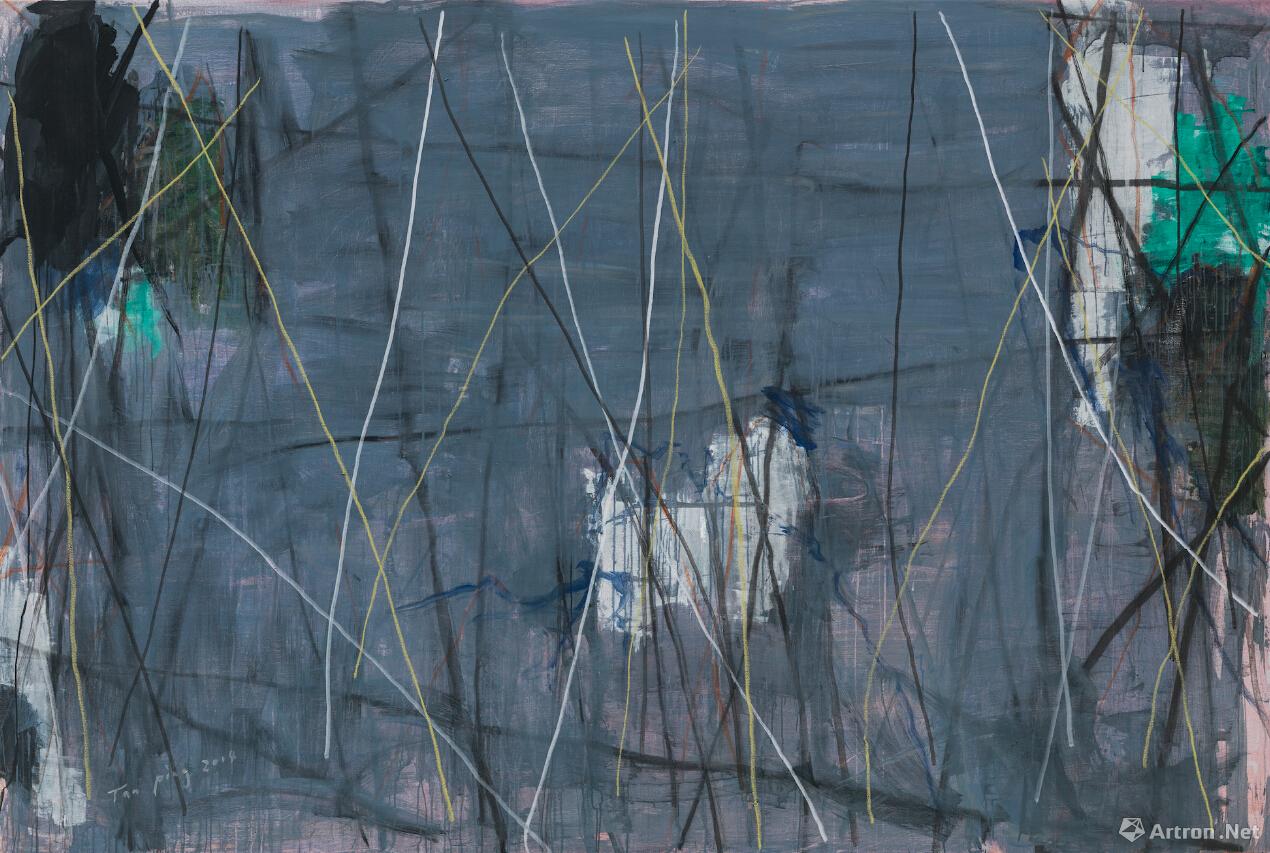 谭平《无题》丙烯200x300cm2014年