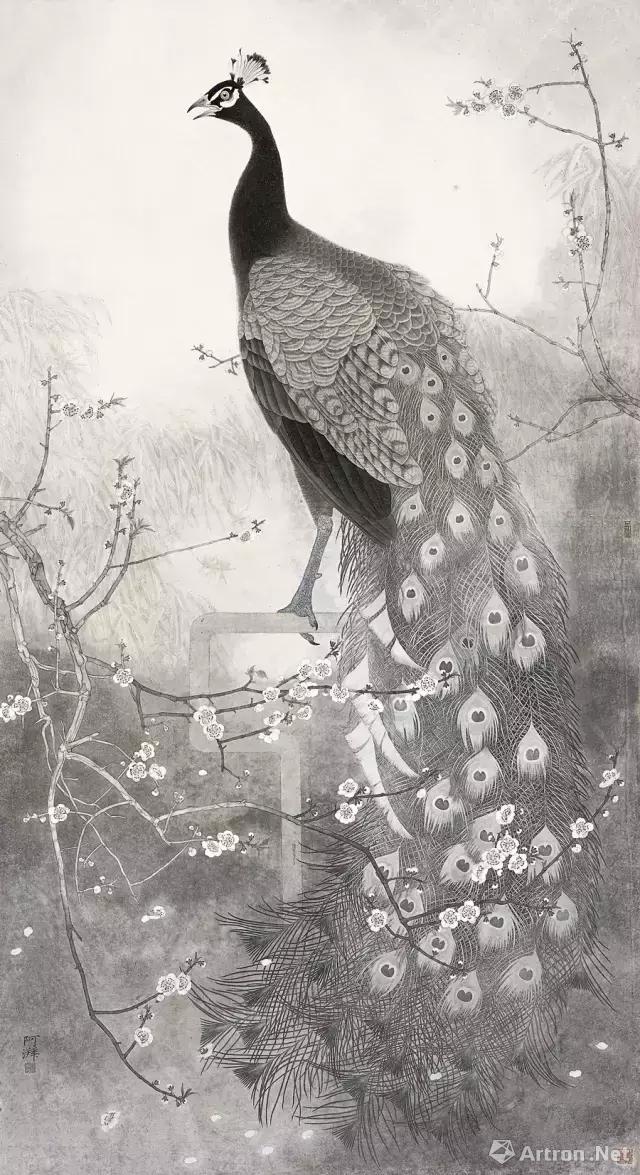 《孔雀》