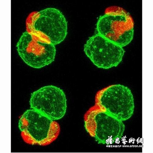 图片版权归原作者所有