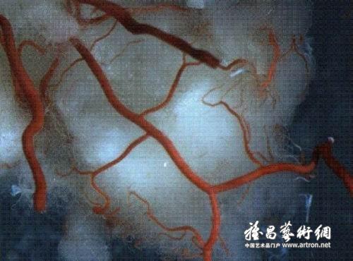 图片版权归原作者所有