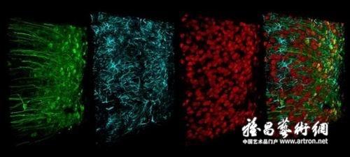 图片版权归原作者所有