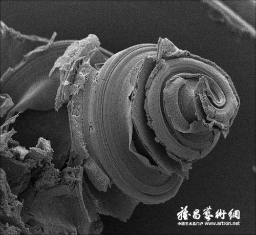 图片版权归原作者所有