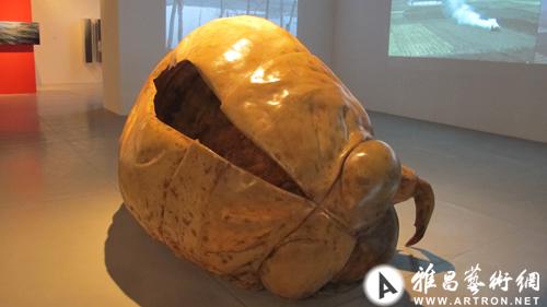 图片版权归原作者所有