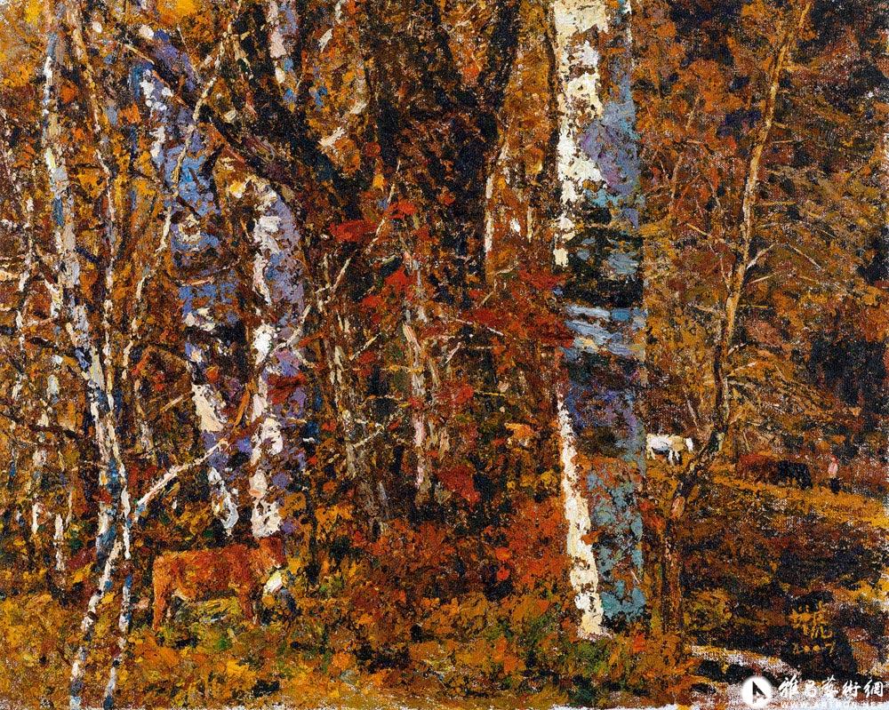 桦林秋色<br>Birch Woods in Autumn