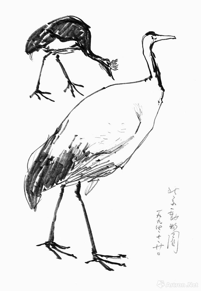 鹤写生于北京动物园