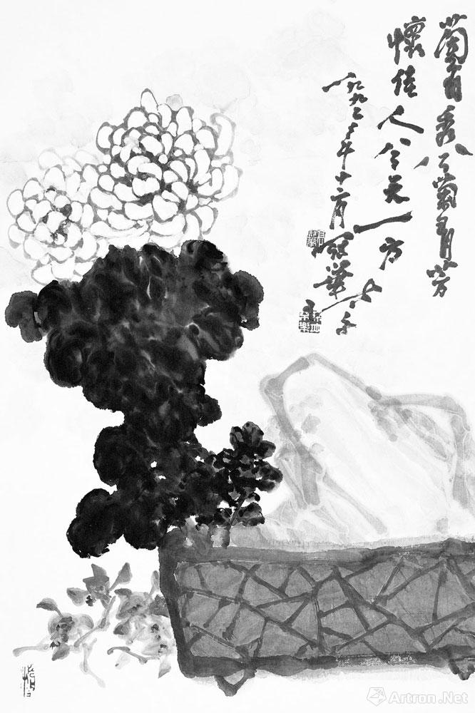 盆菊