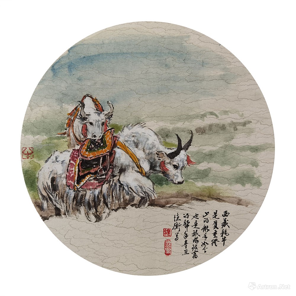 《生肖牛之西藏牦牛》