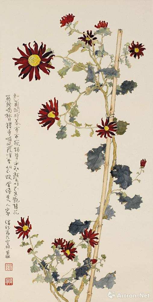 红菊 Red Chrysanthemum