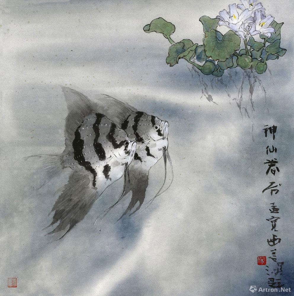 神仙眷属 Angel fishes
