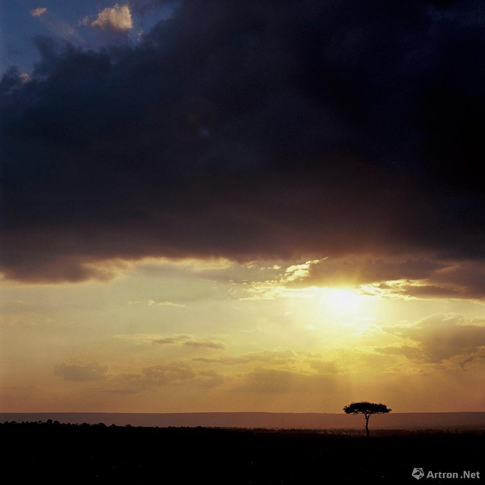 王琛作品：非洲玛塞玛拉国家地理公园落日中的伞树 2007.07