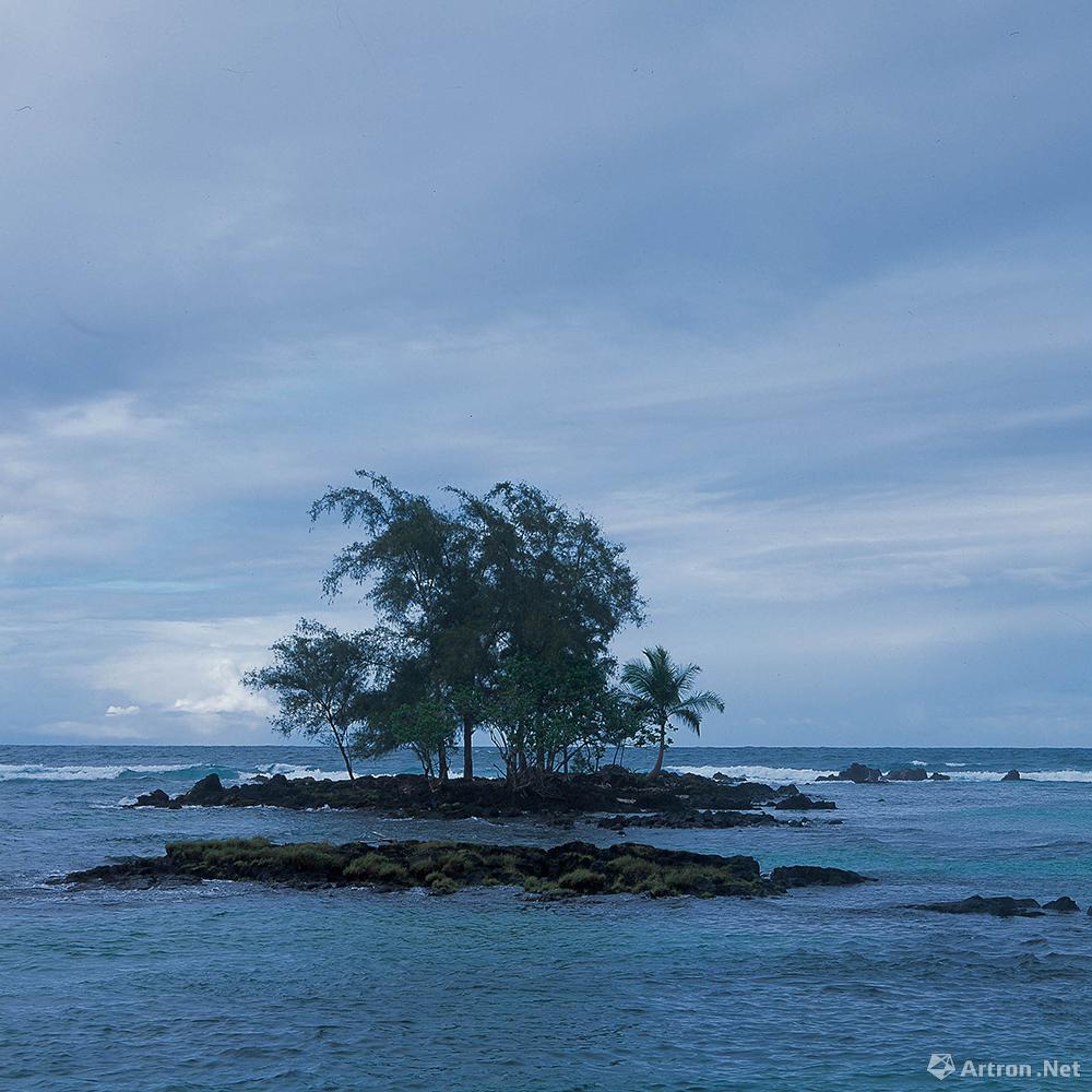 王琛作品：亚洲洲美国夏威夷大岛近海的树 2012.05