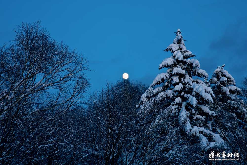 金基浩作品：月亮爬上树梢