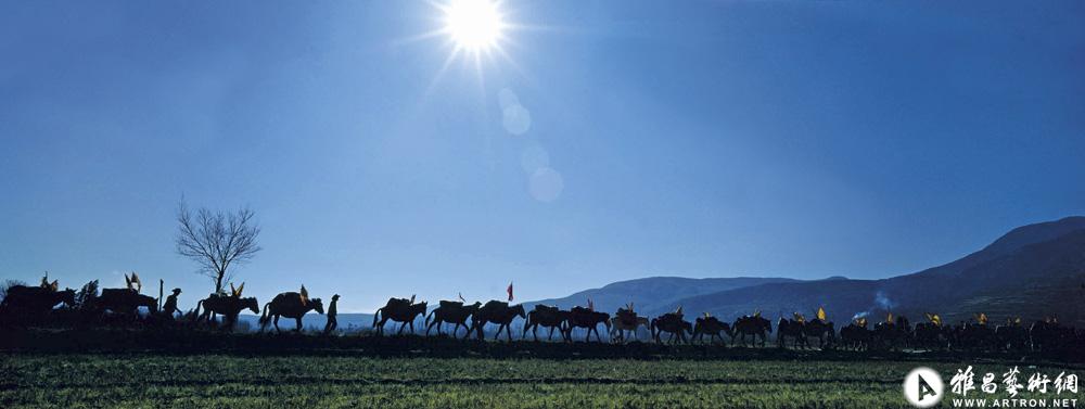 王纪言作品：2004年初夏，云南茶马古道上最後的马帮运送普洱茶去拉萨，一路见证青藏铁路通车。