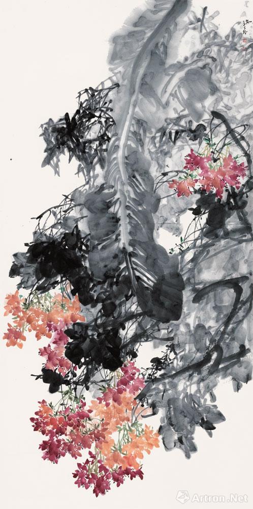 非洲芙蓉