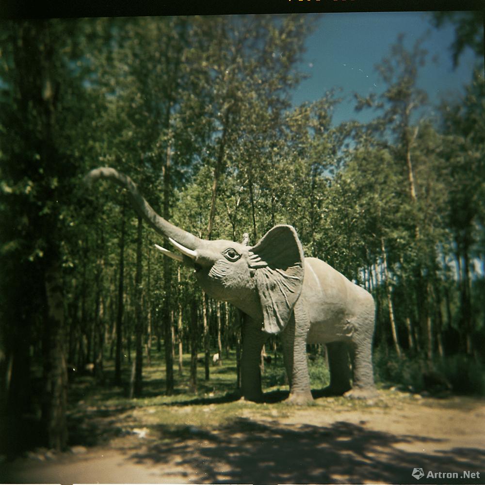 左伟作品：树林里的景观大象 2015年7月