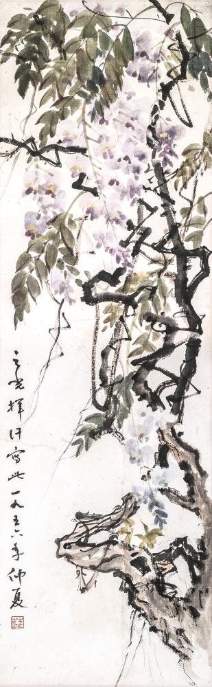 紫藤