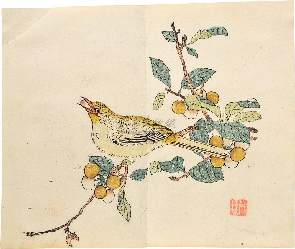 *4697 (明)胡正言 十竹斋书画谱 (一函四册)