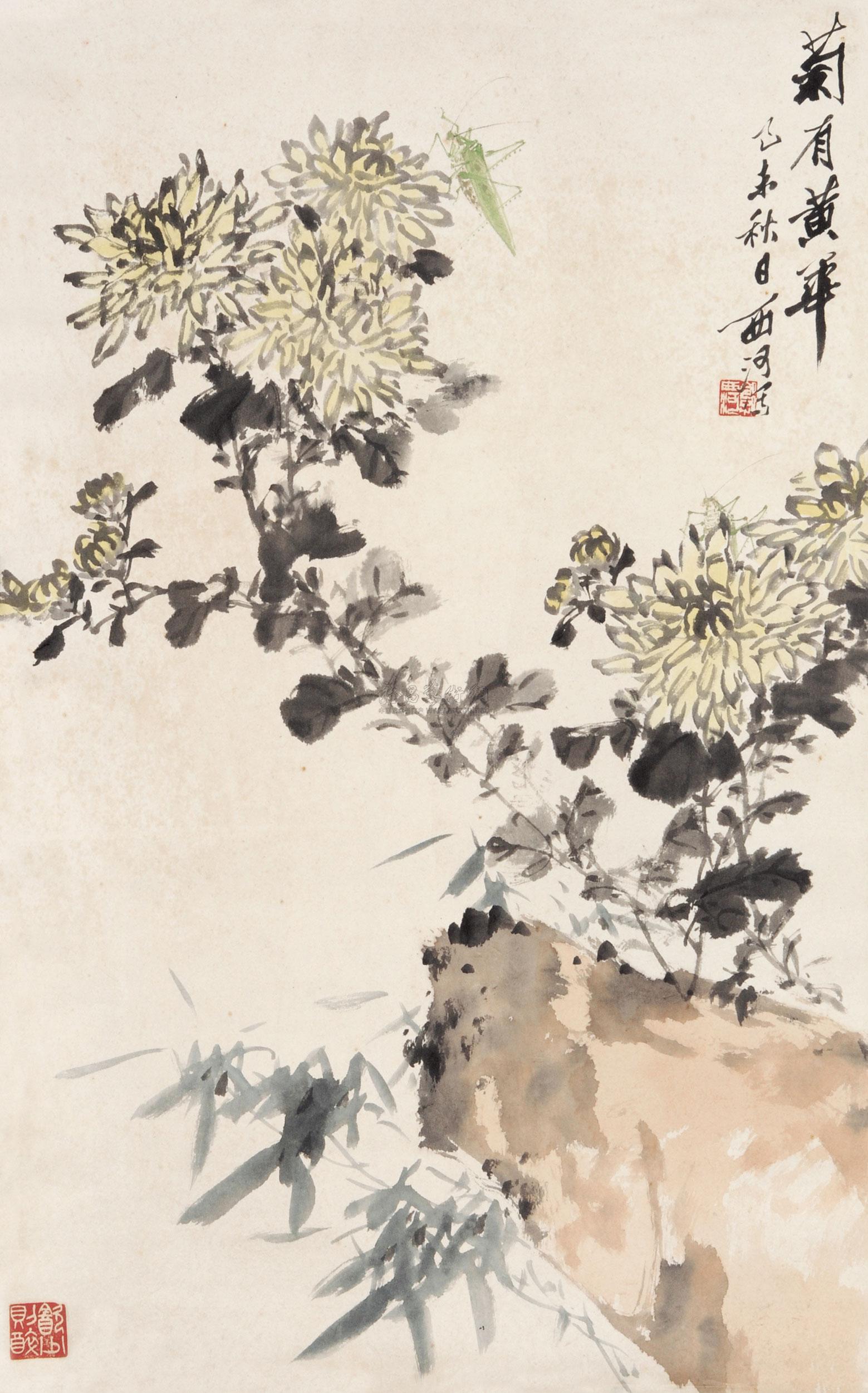 0079 菊石图 立轴 设色纸本