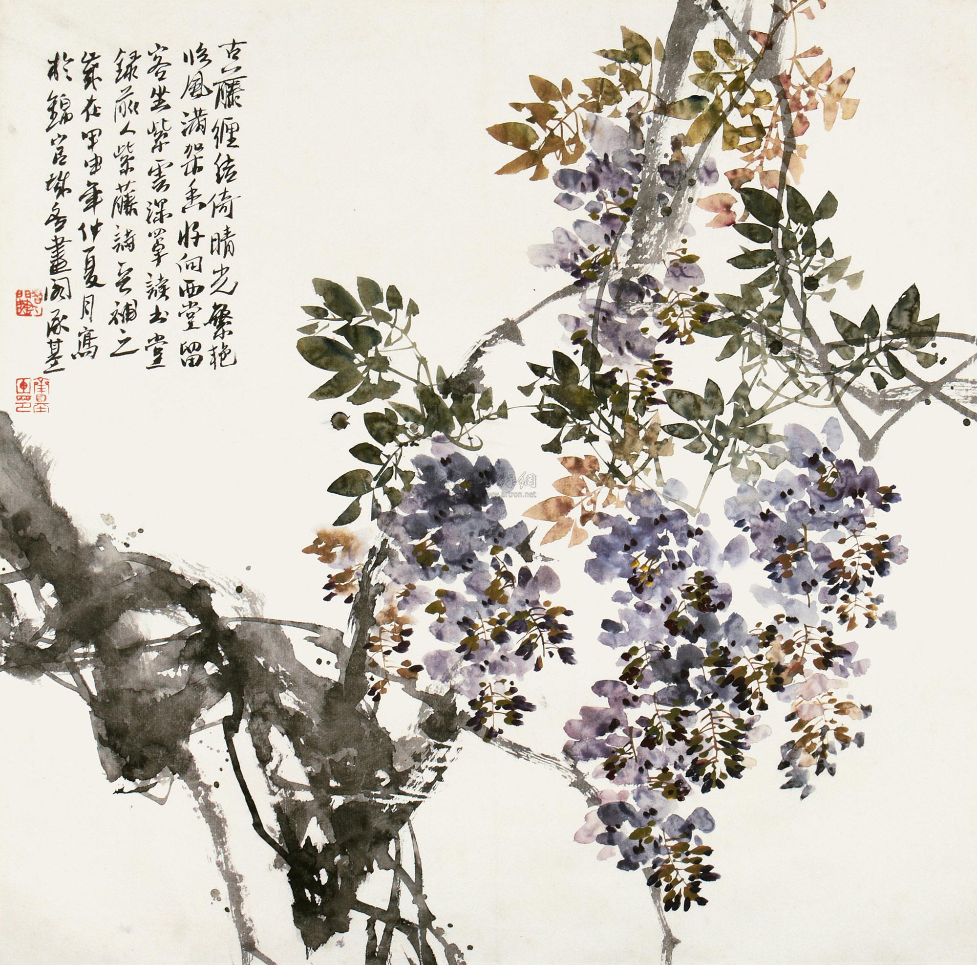 0196 紫藤 镜片 纸本