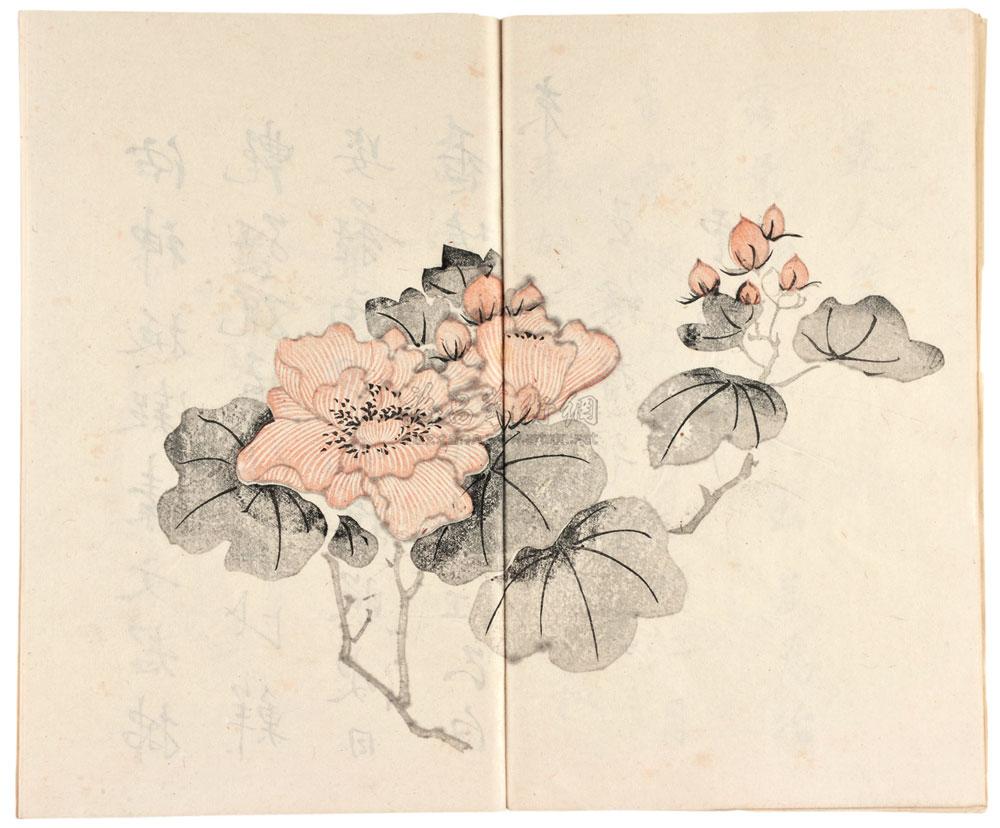 *6821 十竹斋书画谱 (一函八册)