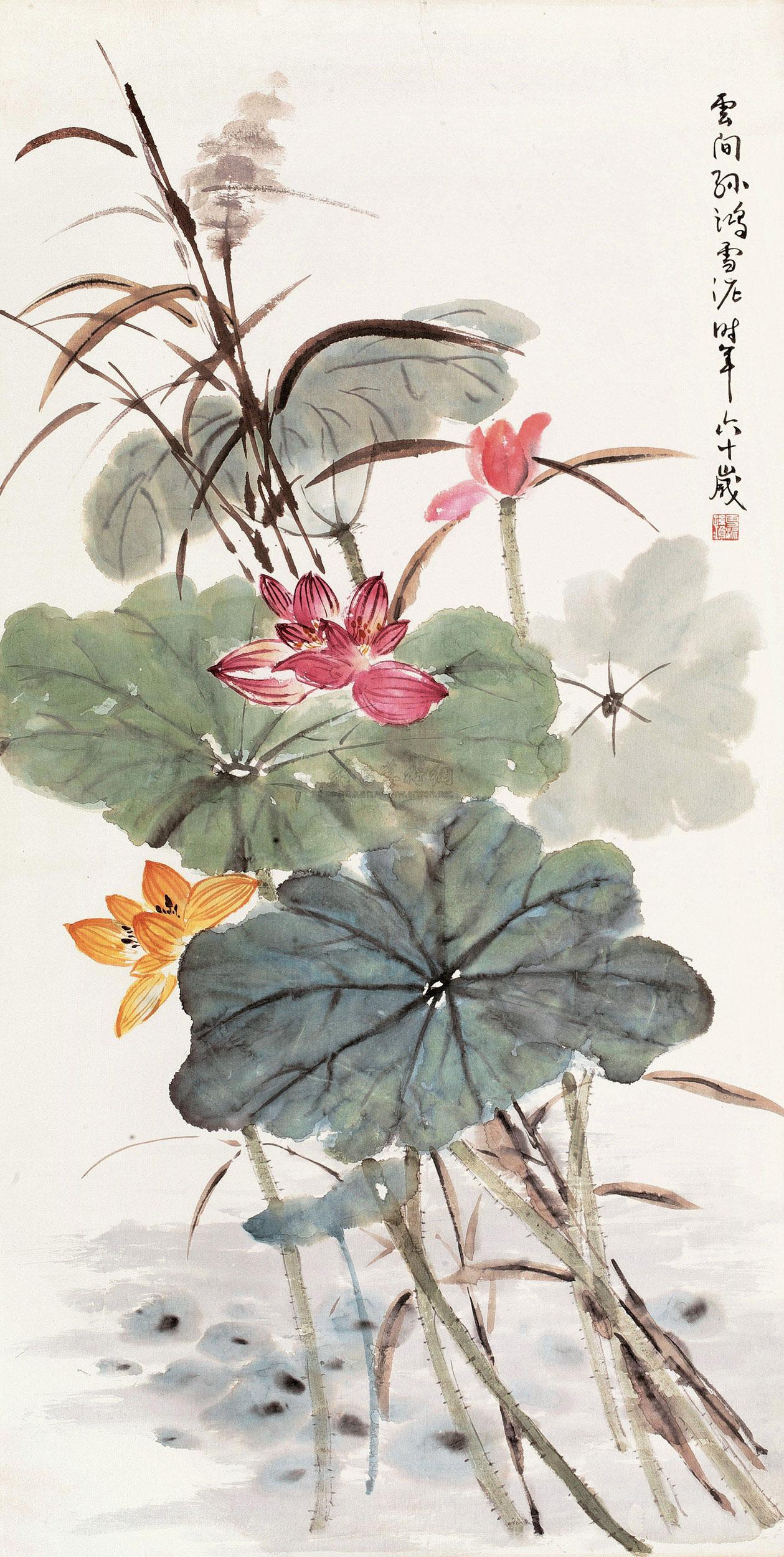 1010 荷花 立轴 设色纸本