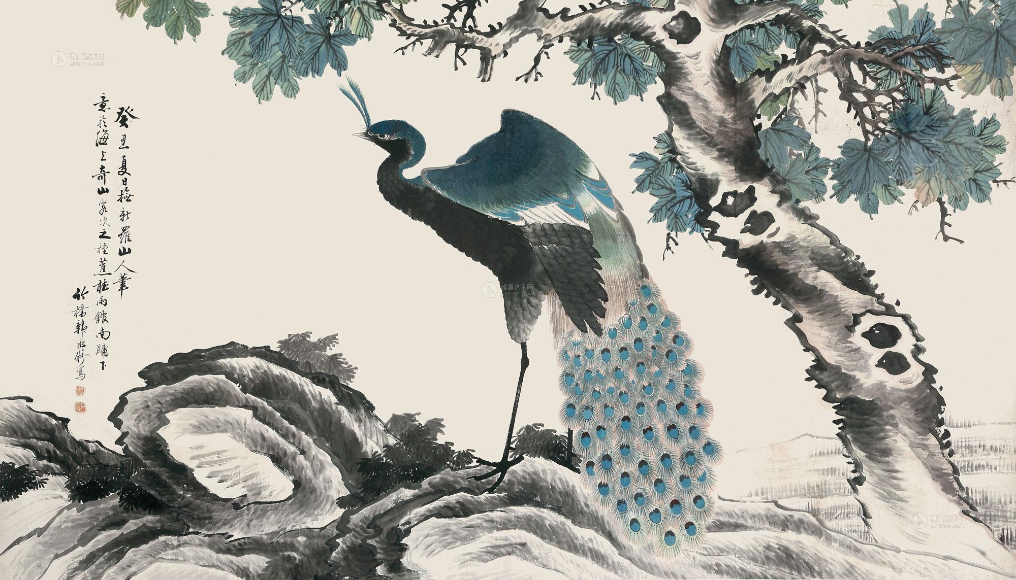 0776 孔雀 横幅 设色纸本