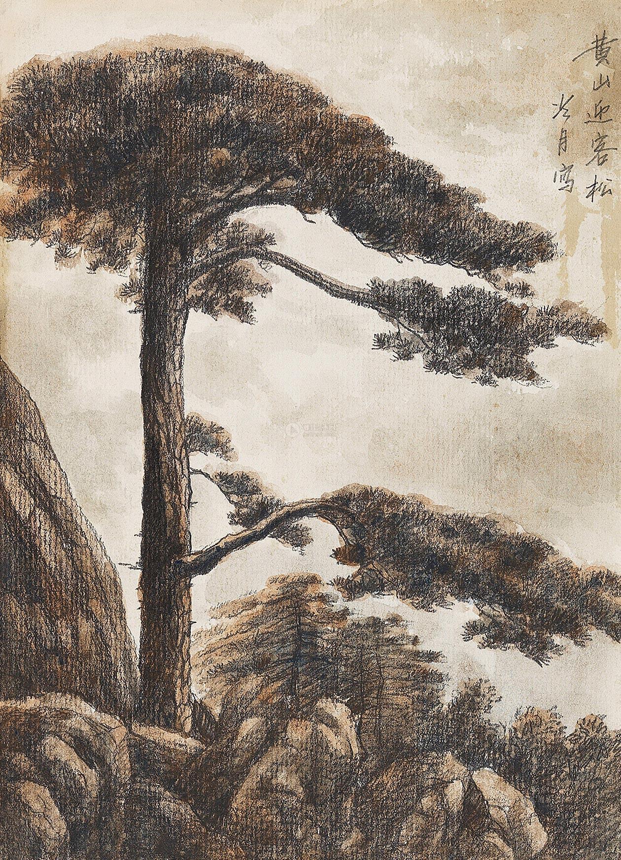 0342 黄山迎客松 铅笔淡彩