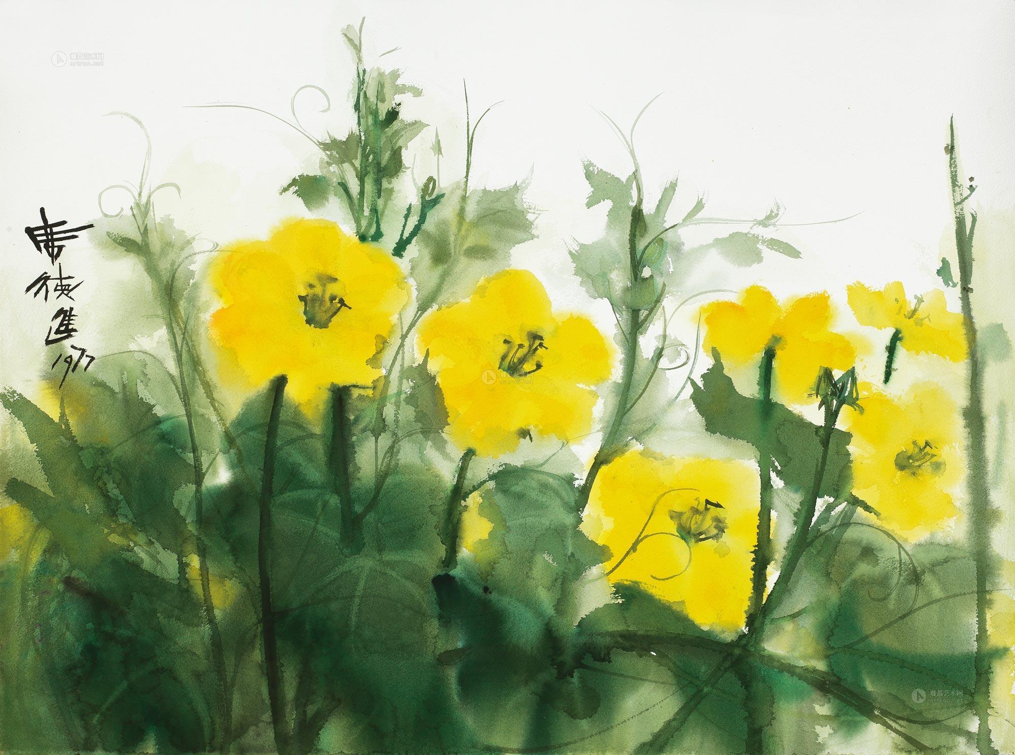0146 1977年作 丝瓜花 水彩 纸本