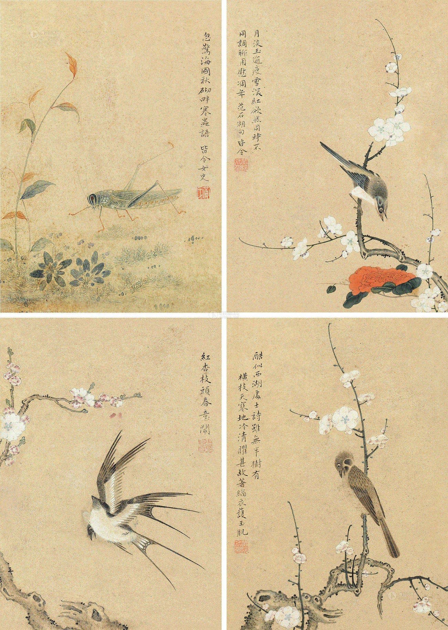 1045 花鸟草虫册 册页 (四开) 设色纸本