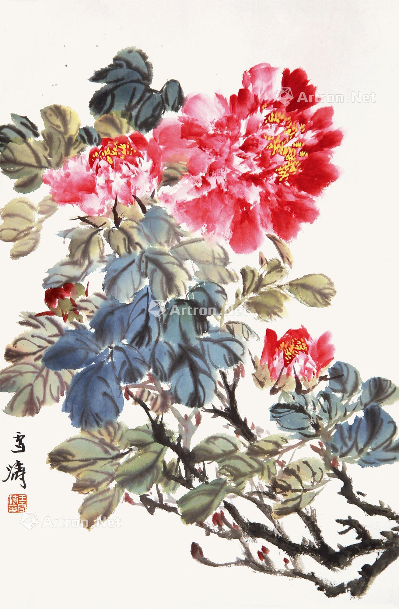 0216 牡丹 立轴 纸本