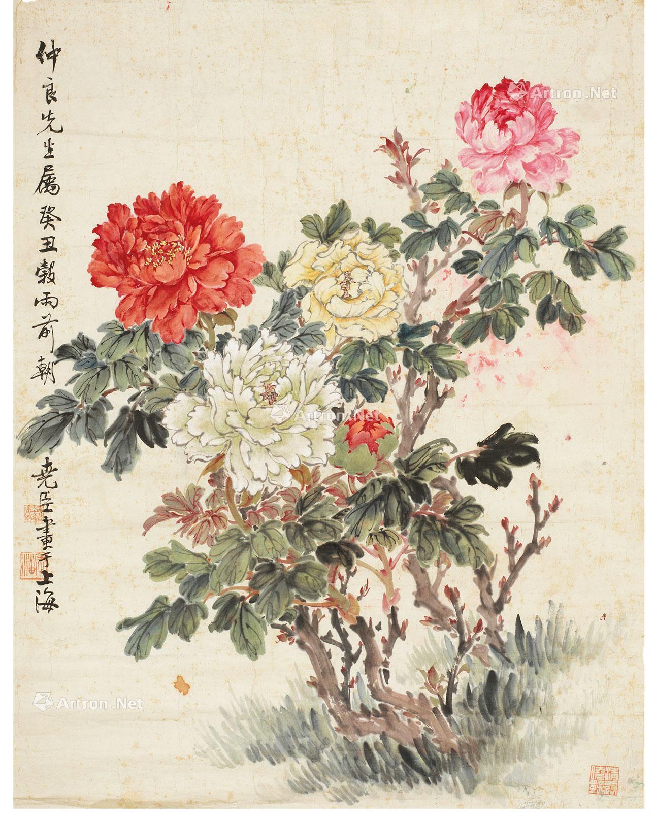 1650 牡丹 镜片 设色纸本