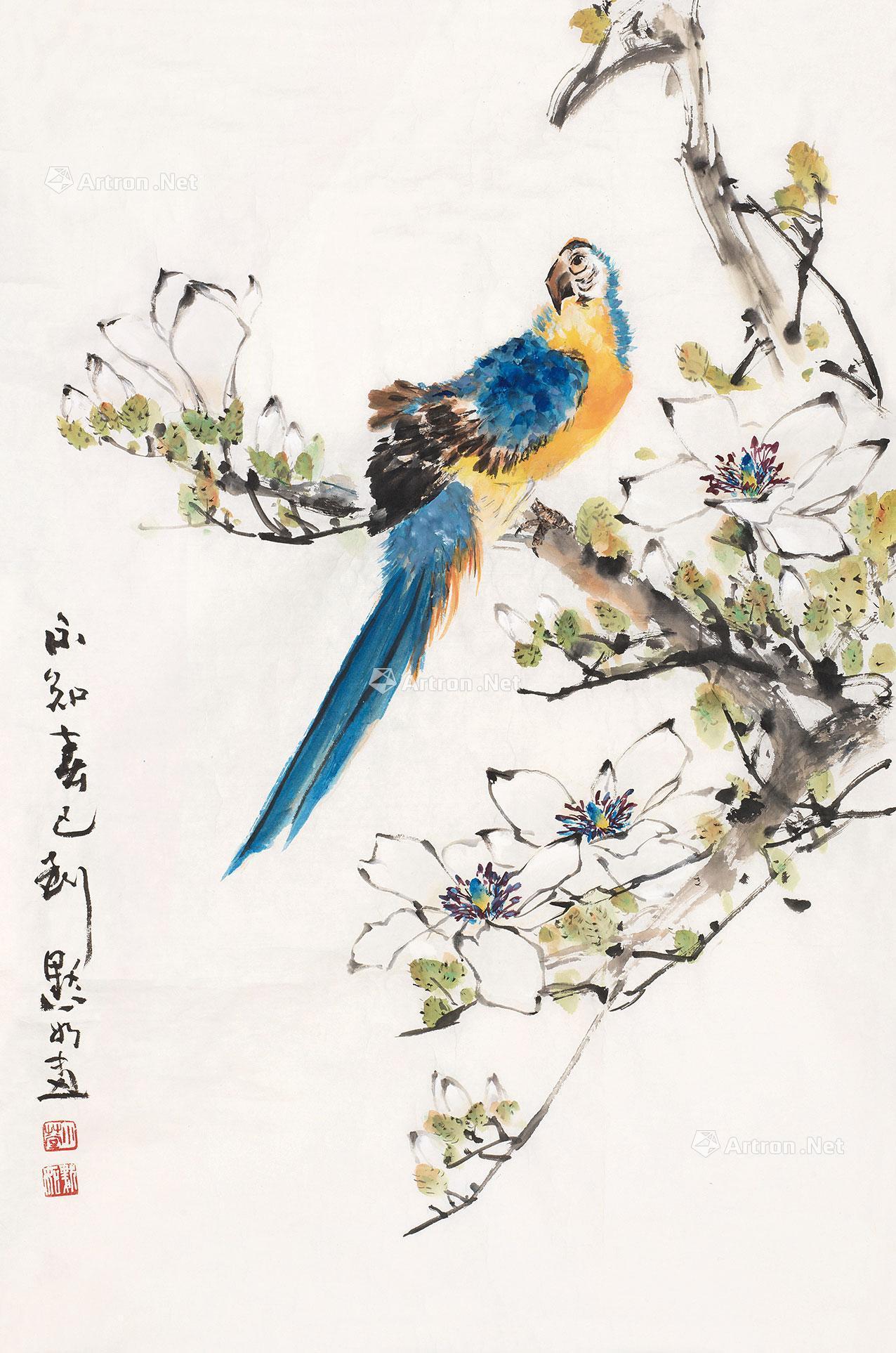 【鹦鹉玉兰 镜心 设色纸本】拍卖品_图片_价格_鉴赏_绘画_雅昌艺术品