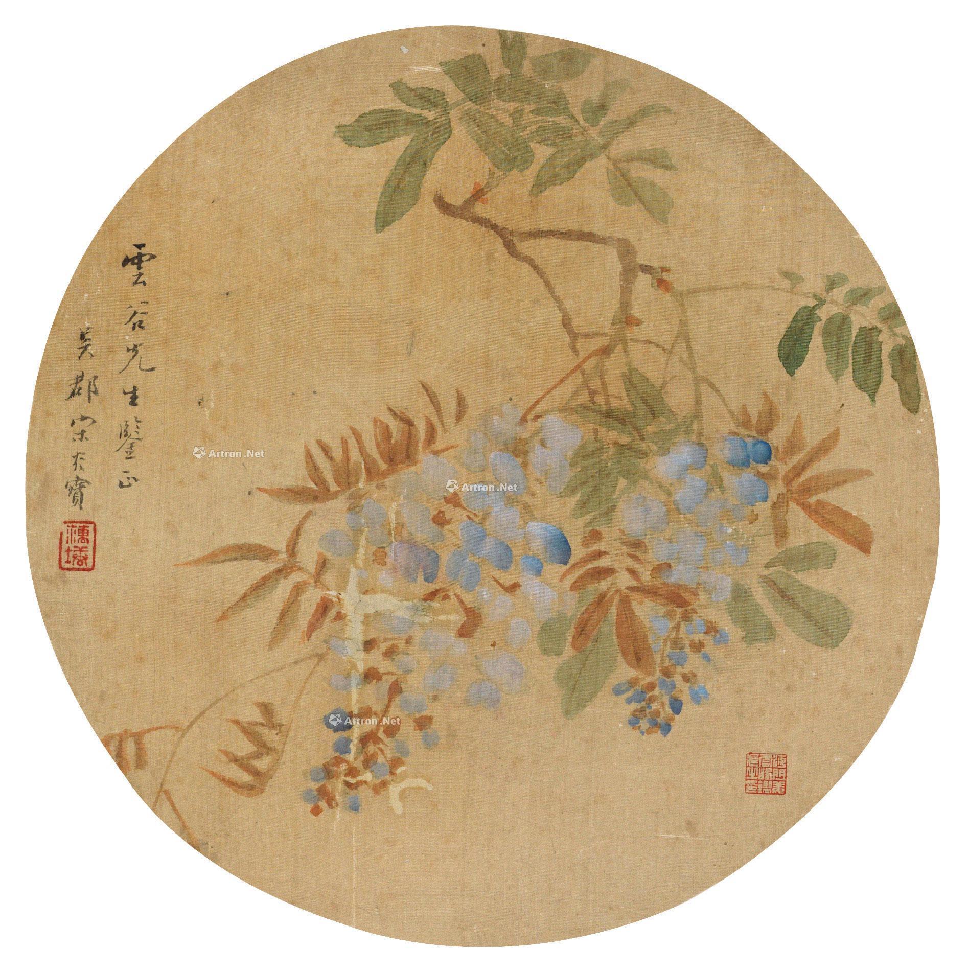 *0428 紫藤 团面 设色绢本