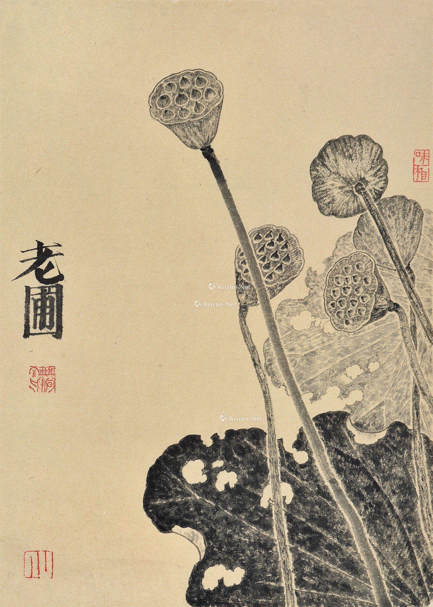 0089 荷 镜心 纸本
