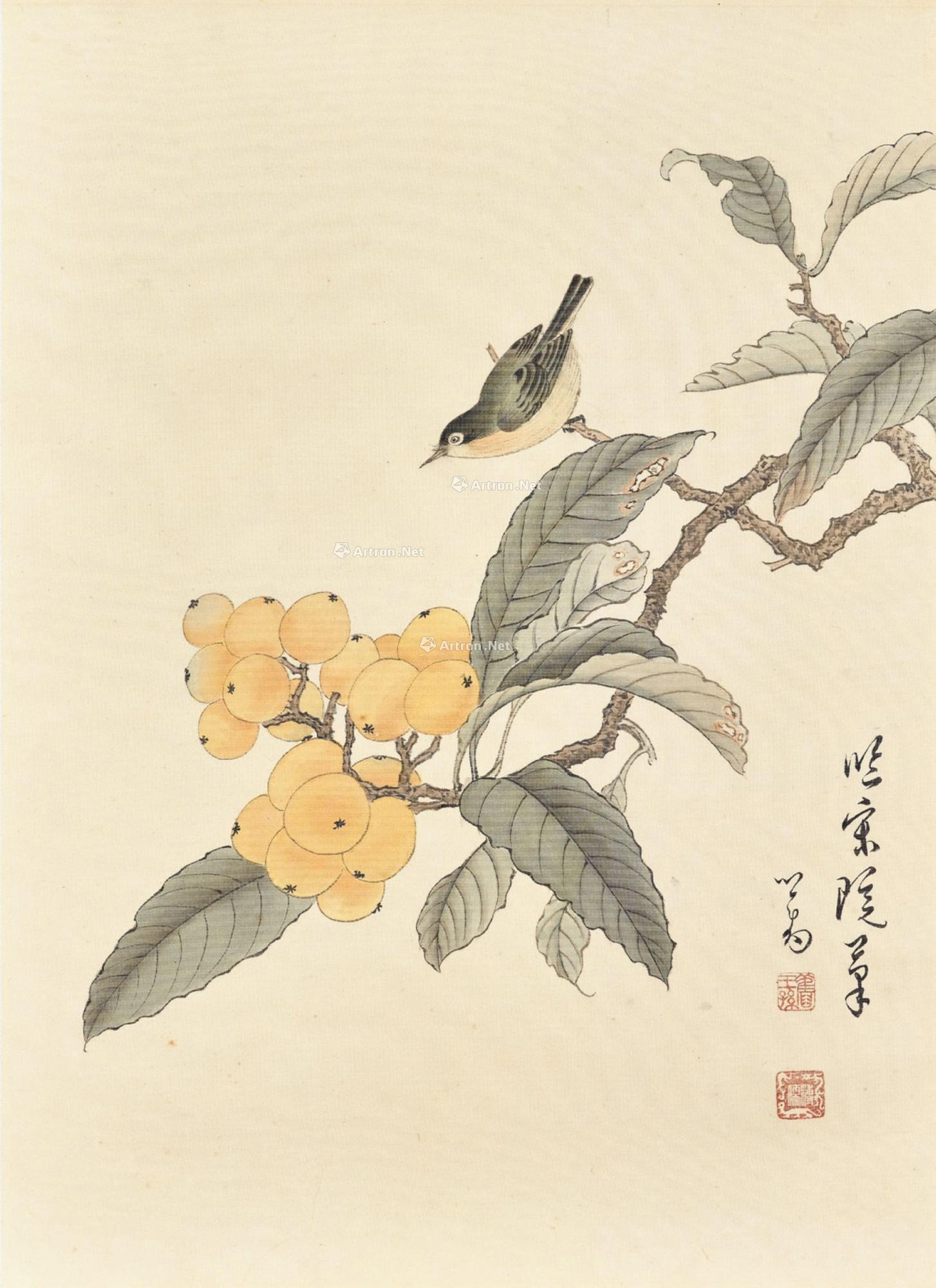 1536 枇杷小鸟 镜框 设色绢本