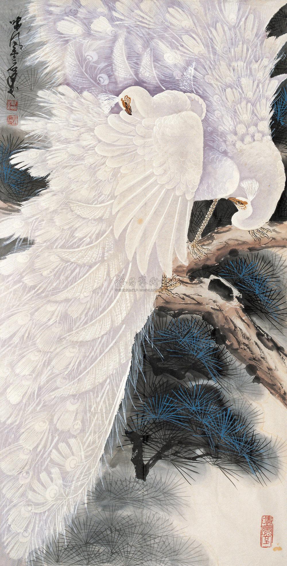 2646 白孔雀 镜心 纸本
