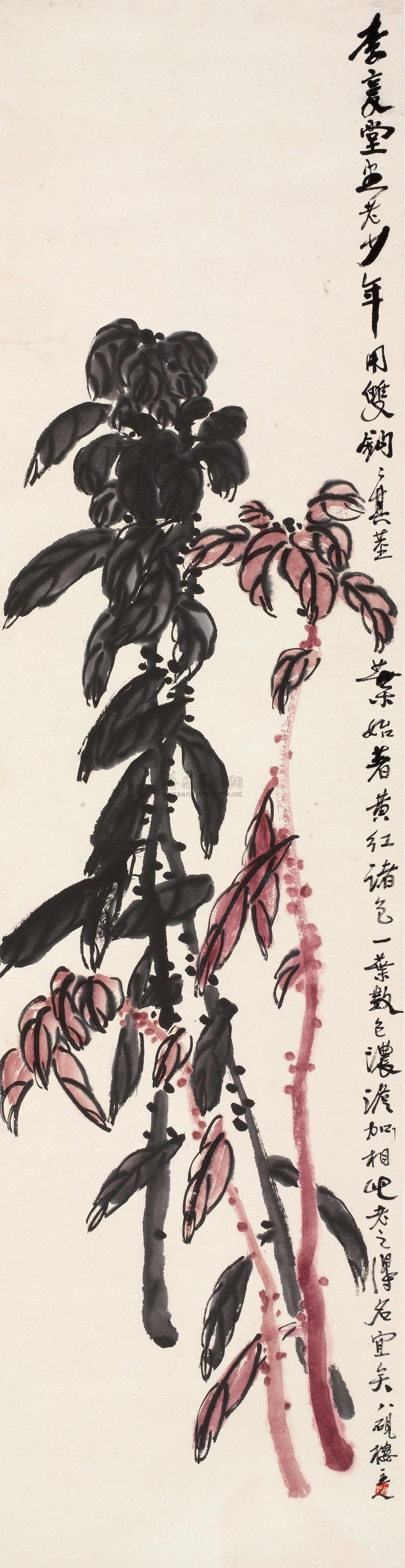0615 雁来红 立轴 设色纸本