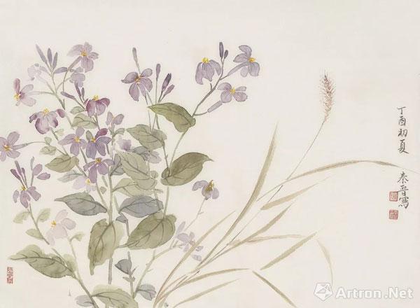 二月兰 33x45cm 2017年