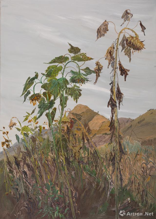 《秋葵》  赵开坤 150×110cm 2010年