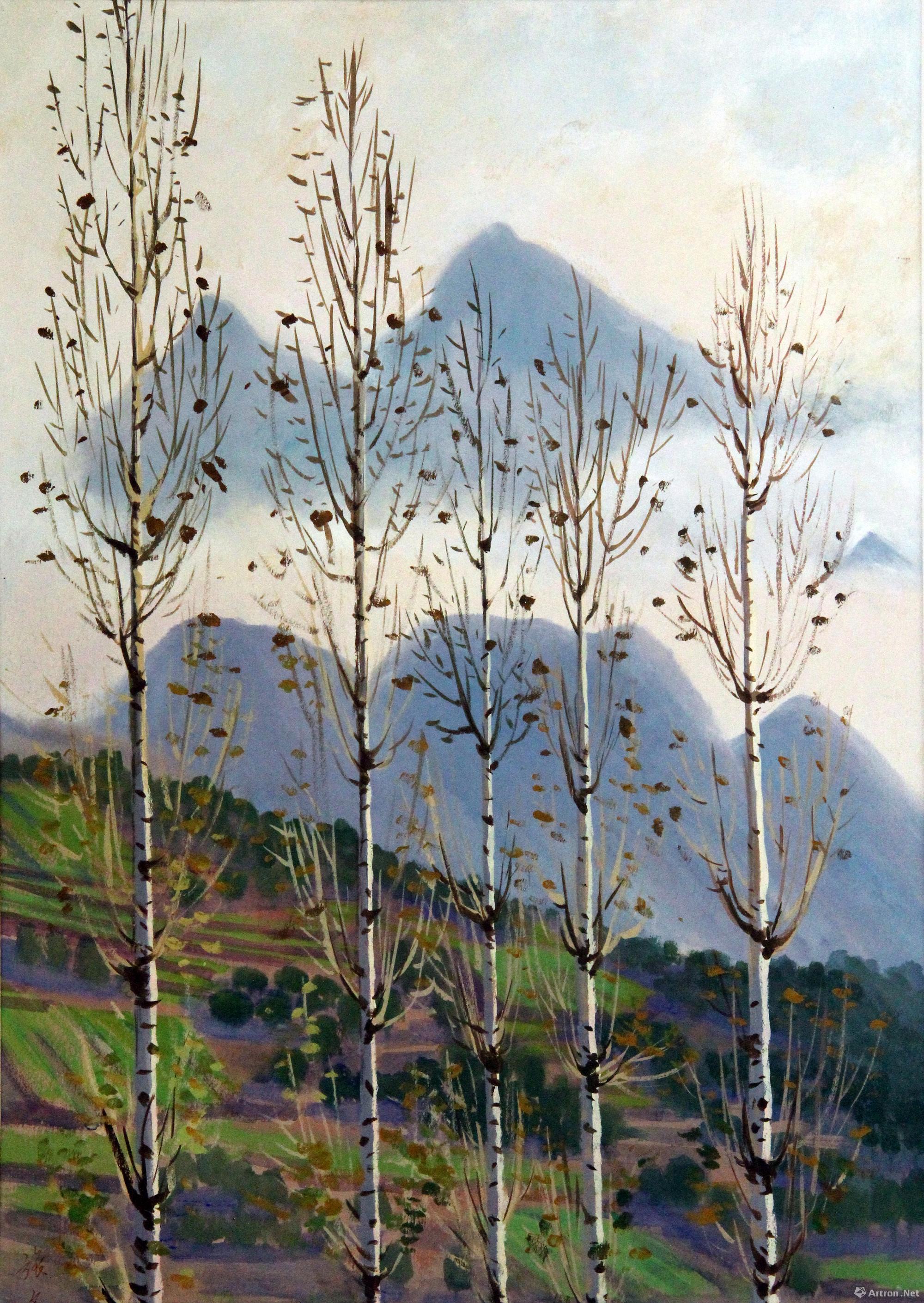 冬天的白桦树的画法图片